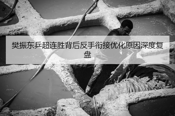 樊振东乒超连胜背后反手衔接优化原因深度复盘